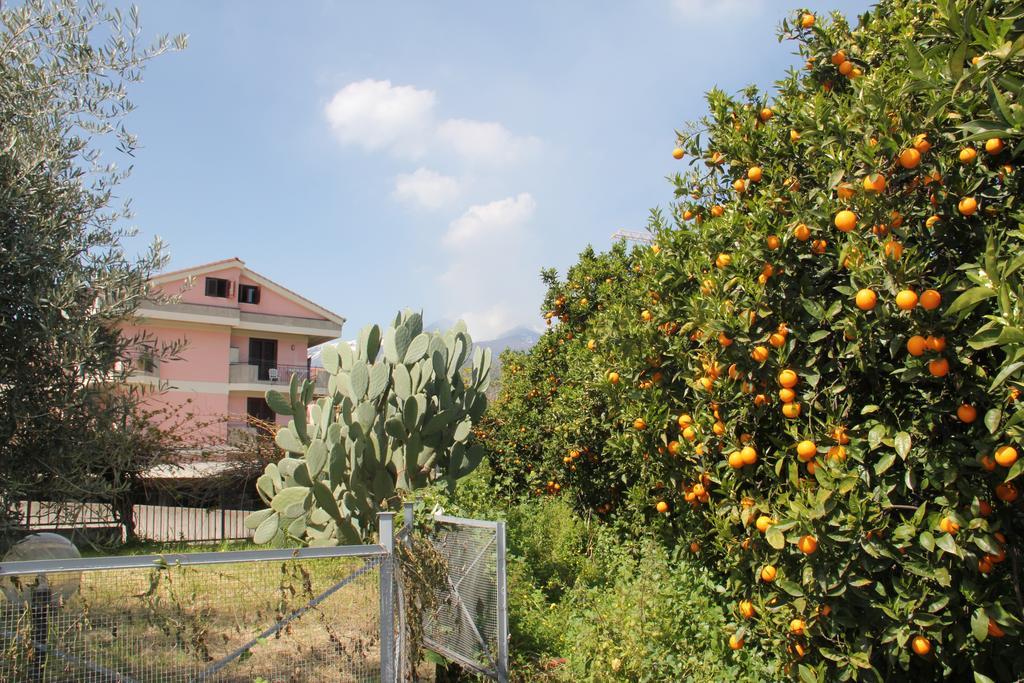 فيلا Gli Aranci Dell'Etna ماسكالي المظهر الخارجي الصورة
